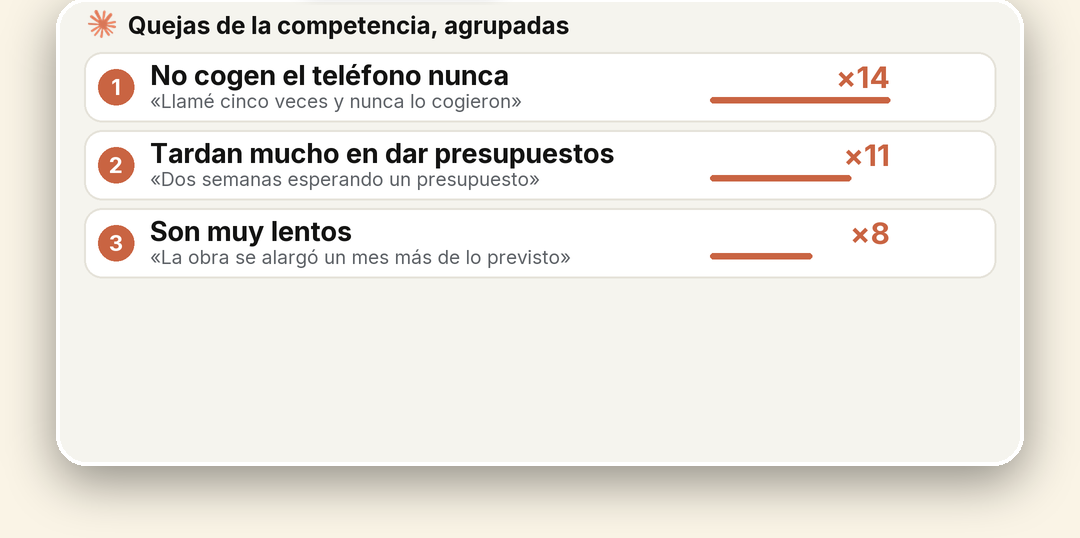 Las quejas de tu competencia, agrupadas y ordenadas (datos de ejemplo)